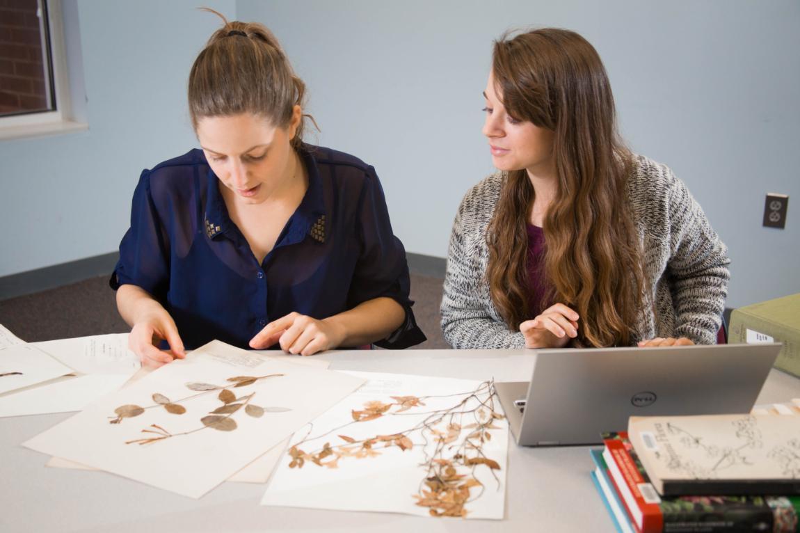 Harvill-Stevens Herbarium