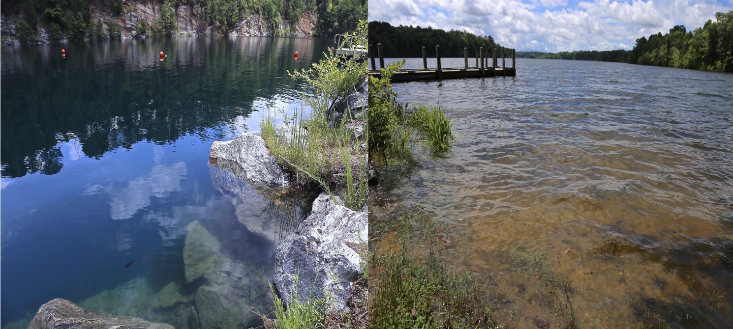 A clear lake and a murky lake next to each other