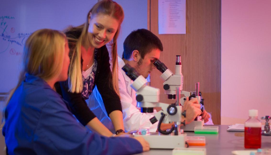 Dr. Amorette Barber working in the lab with students